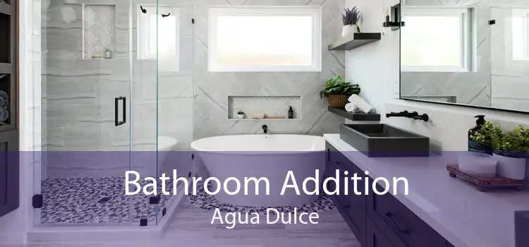 Bathroom Addition Agua Dulce