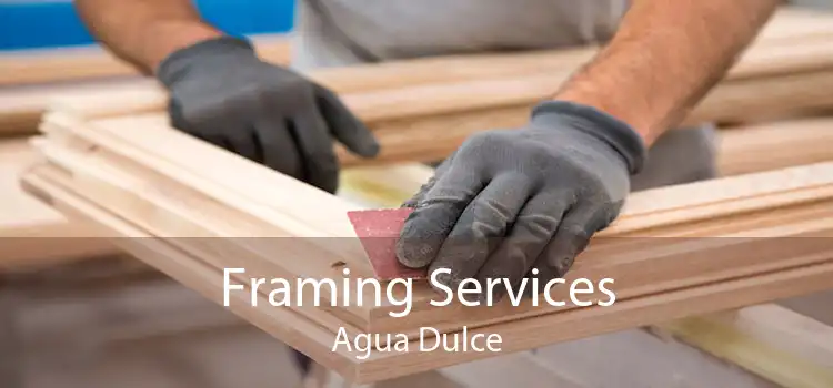 Framing Services Agua Dulce